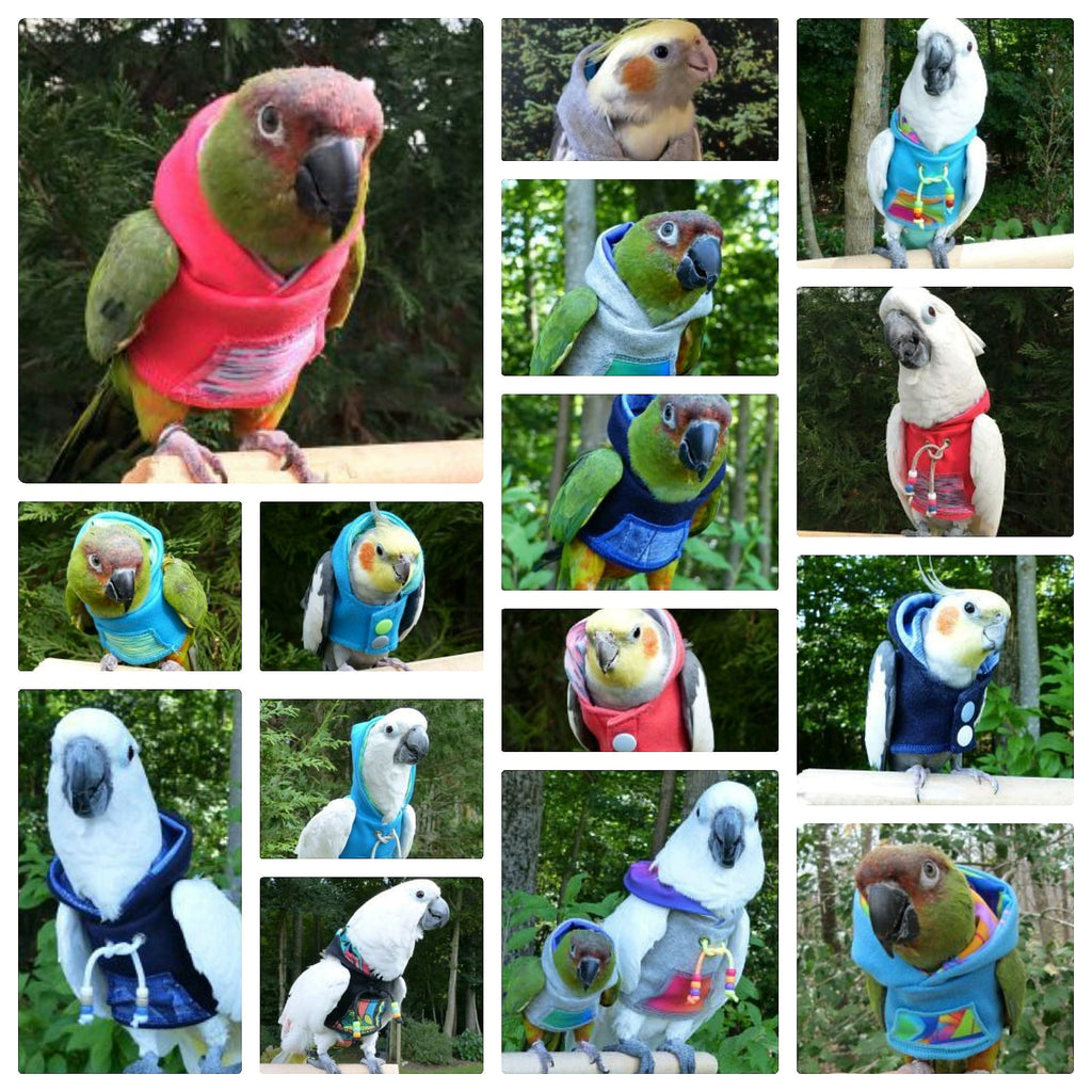 Purchase any hoodie during the month of October and receive a FREE foot toy!