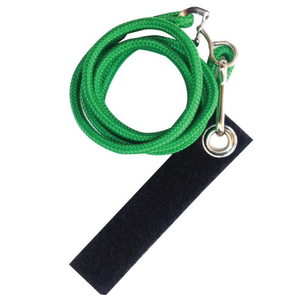 Avian Fashions Lanyard - Green