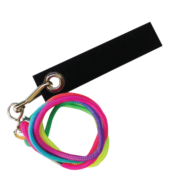 Avian Fashions Lanyard - Rainbow