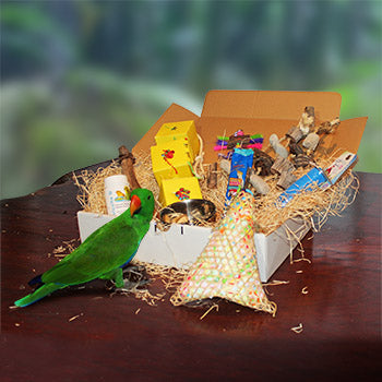 Get 5% off Parrotbox gift boxes until 14 February 2025!!!