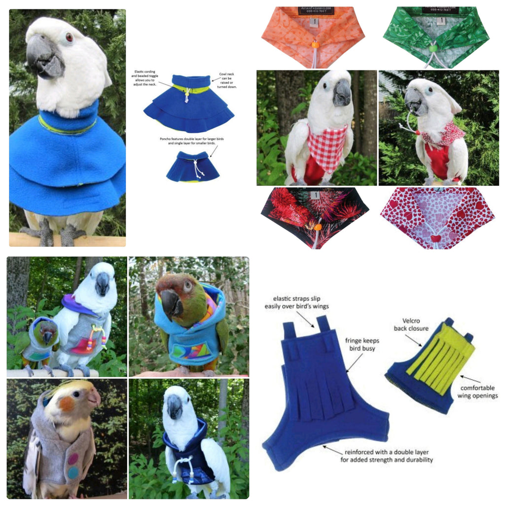 Have you seen our range of Avian Fashions Featherwear?