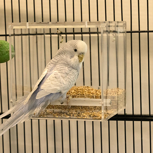 No Mess Bird Feeder - Small