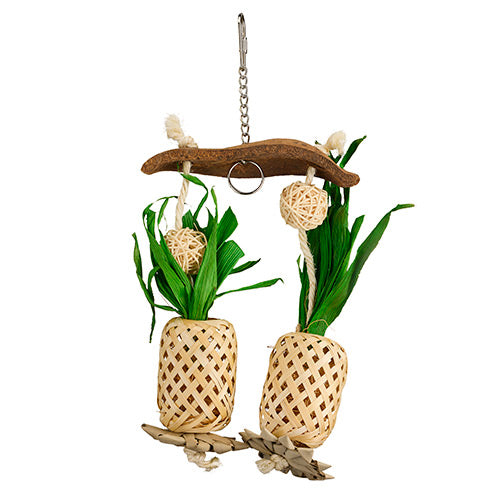 Pineapple Paradise