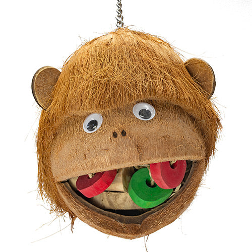 Cheeky Monkey