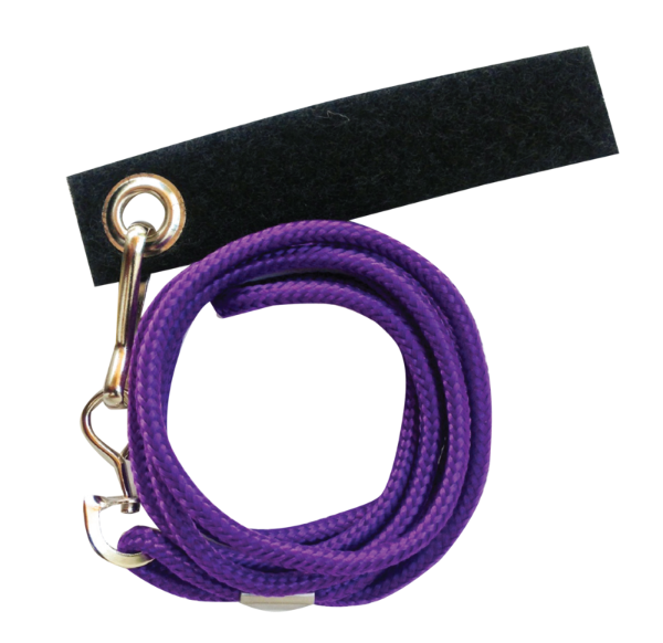 Avian Fashions Lanyard - Purple