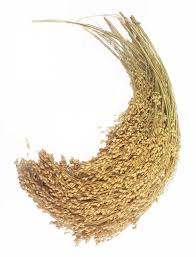 Millet French White 200 GM